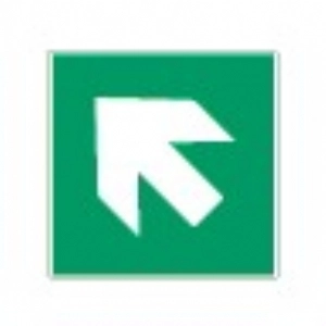 E006 SX