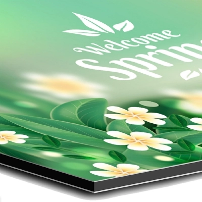 Stampa su Alluminio Dibond