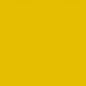 RAL 1003 - SignalYellow