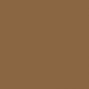 RAL 1011 - Brown beige