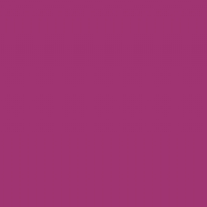 RAL 4006 - Traffic purple
