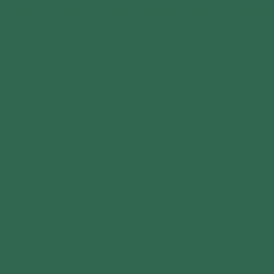 RAL 6000 - Patina green
