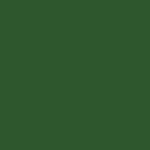 RAL 6002 - Leaf green