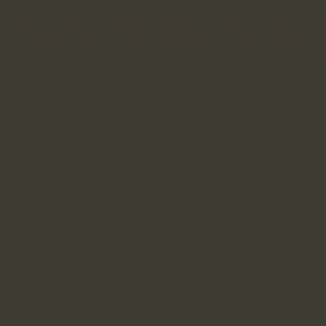 RAL 6006 - Grey olive