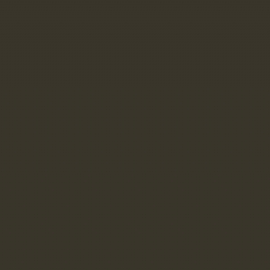 RAL 6008 - Brown green