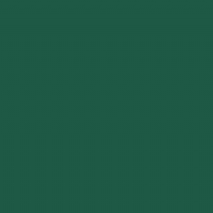 RAL 6016 - Turquoise green