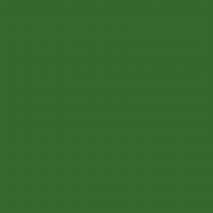 RAL 6010 - Grass green