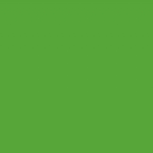 RAL 6018 - Yellow green