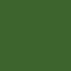 RAL 6025 - Fern green