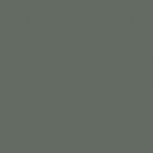 RAL 7005 - Mouse grey
