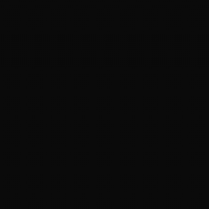 RAL 9005 - Jet black